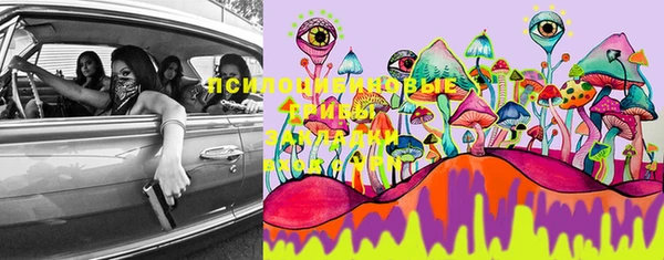 mix Ельня