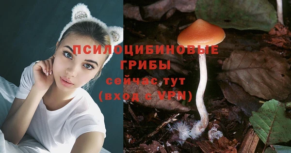 винт Елизово