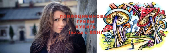 эйфоретик Дмитров